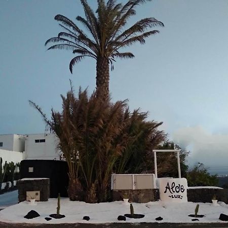 Aloelux Villa ! - Private Villa With Jacuzzi, Cinema ,Massage ,Wonderful View, Art Desing Villa Conil エクステリア 写真