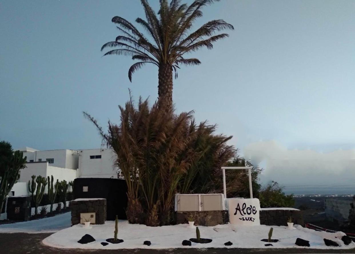 Aloelux Villa ! - Private Villa With Jacuzzi, Cinema ,Massage ,Wonderful View, Art Desing Villa Conil エクステリア 写真